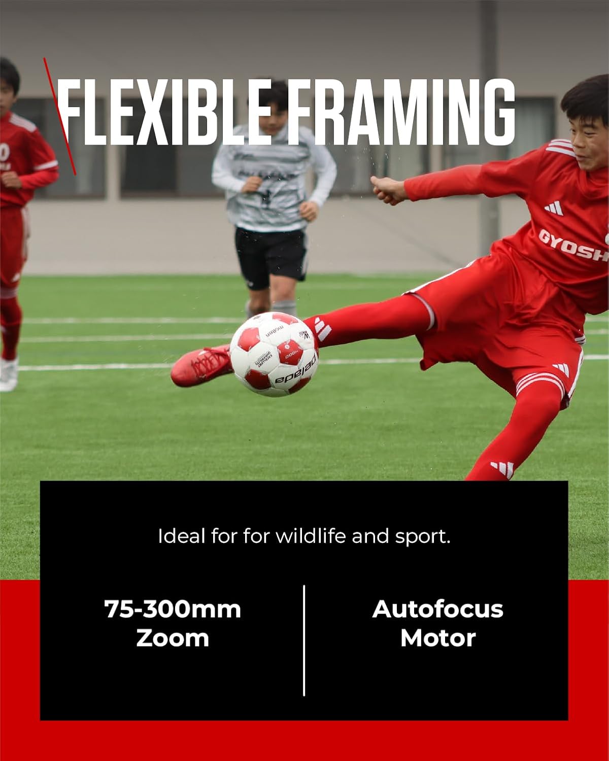 Thumbnail 6 de Canon RF 75-300mm F4-5.6 Lens — Lightweight Telephoto Zoom for Canon EOS R