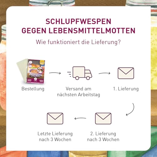 Detalle 2 de Plantura Schlupfwespen gegen Lebensmittelmotten, 9 Karten – natürliche Lösung für Mottenprobleme