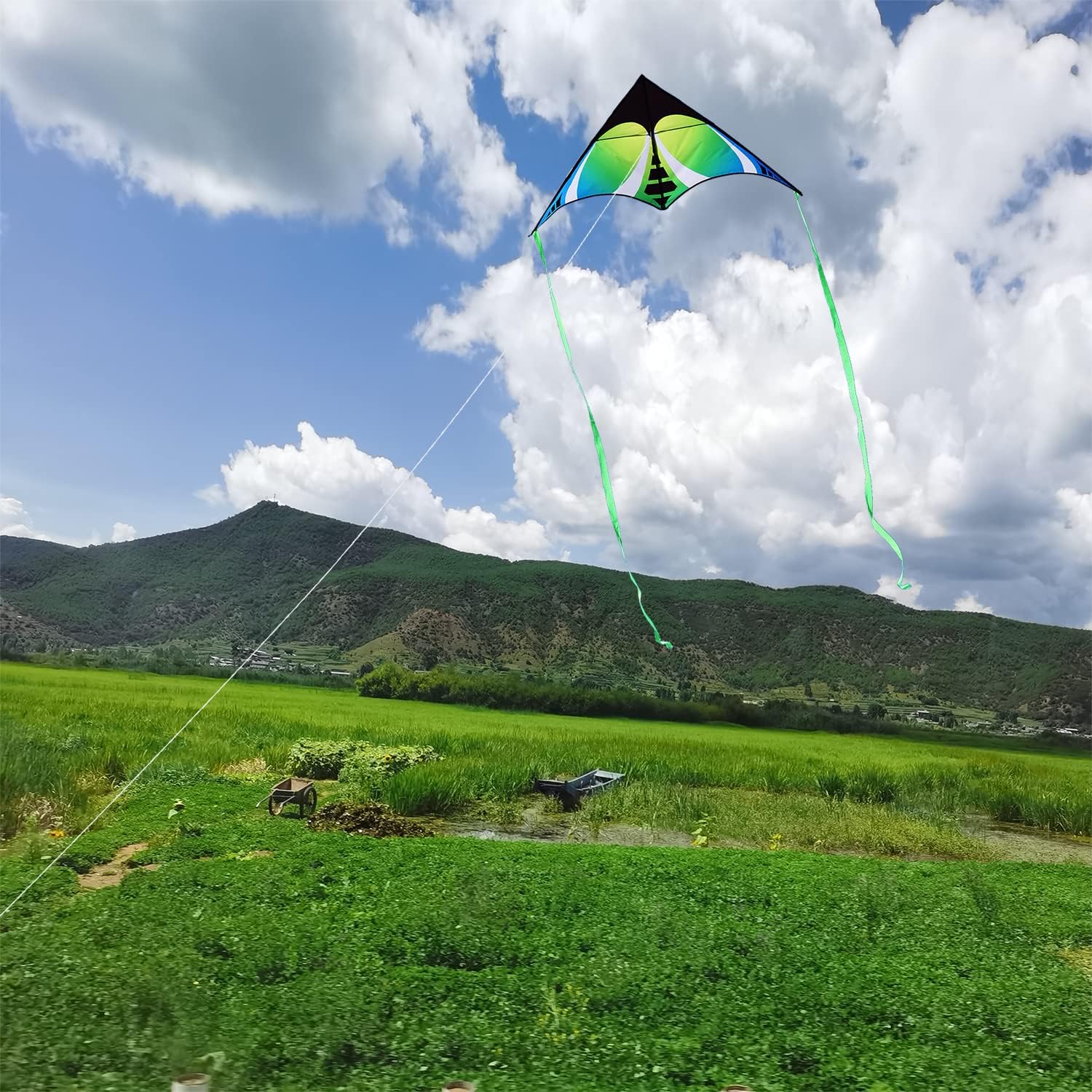 Detalle de HONBO Large Delta Kite for Kids and Adults – Beach Fun with 200ft Line