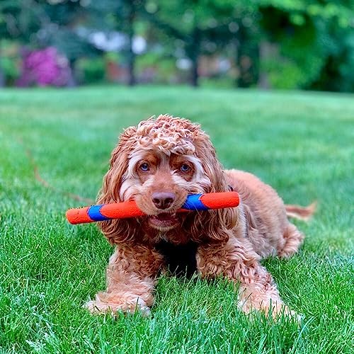 Detalle de Chuckit! Ultra Fetch Stick – 28 cm
