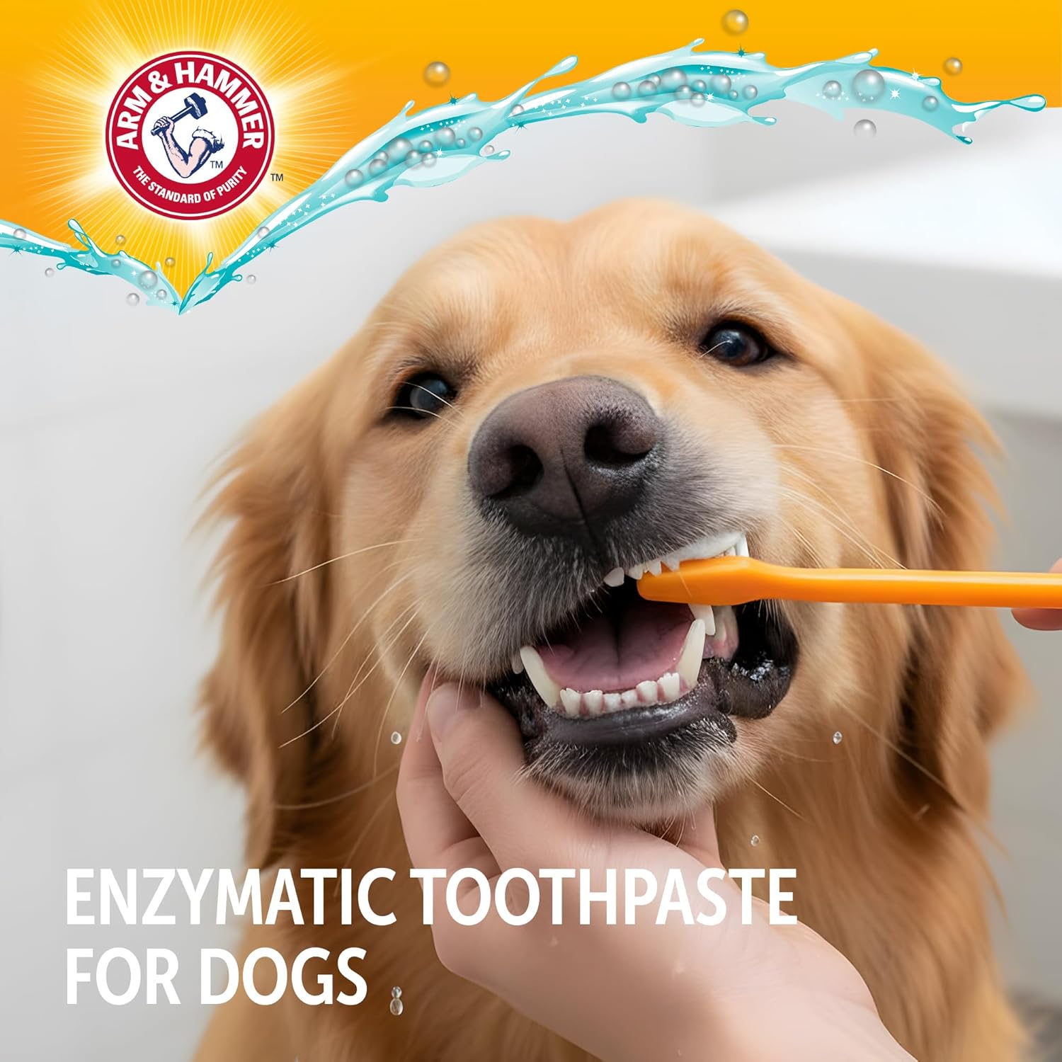 Detalle 2 de ARM & HAMMER コンプリートケア 酵素犬用歯磨き粉 チキン風味・重曹・カルシウム配合 6オンス