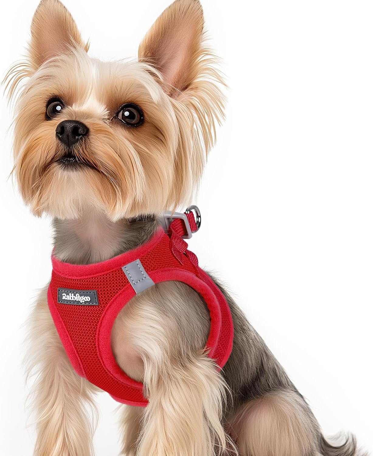 Detalle de Rabbitgoo Welpengeschirr XS Step-in für kleine Hunde – atmungsaktives Mesh, reflektierend, rot
