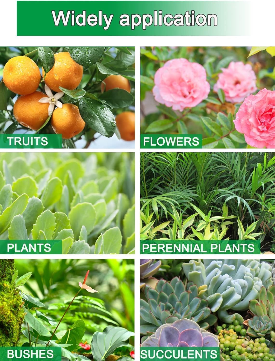 Thumbnail 4 de Lechansen Pots de Semis 6 cm Fibre Biodégradable