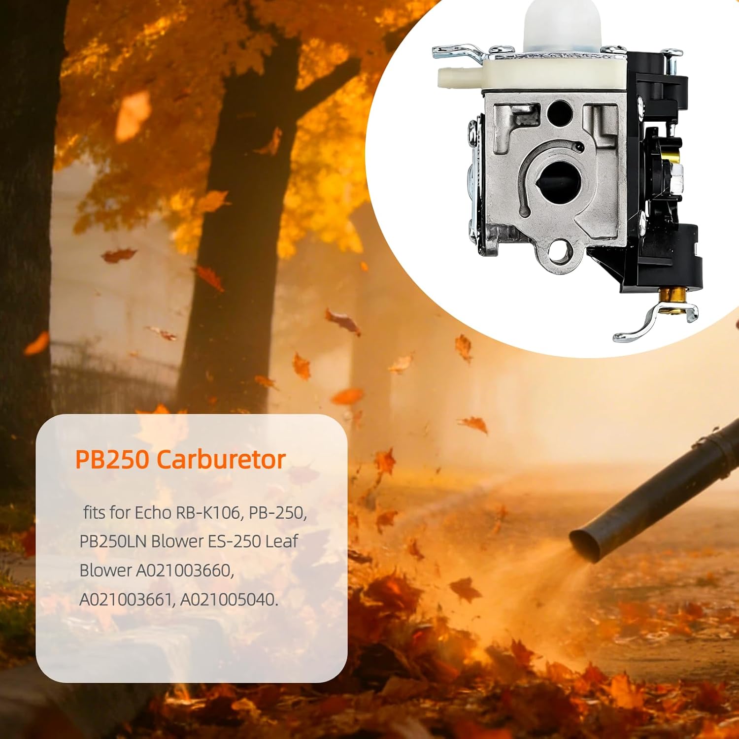 Thumbnail 4 de PB250 replacement carburetor kit