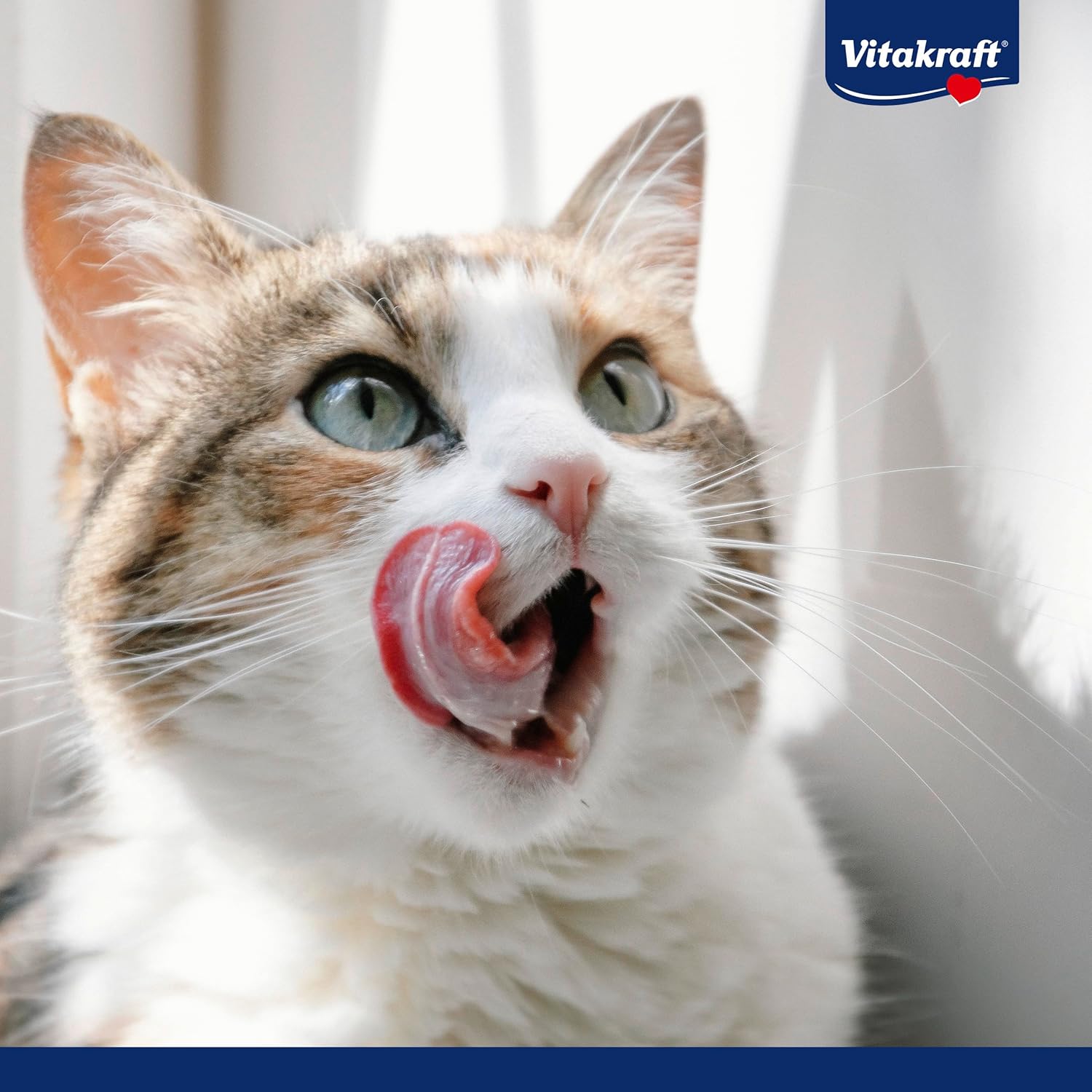 Detalle 2 de Vitakraft Premium Katzen Leckerli: mageres Hühnchenfilet, hypoallergen, getreidefrei, 7x70g