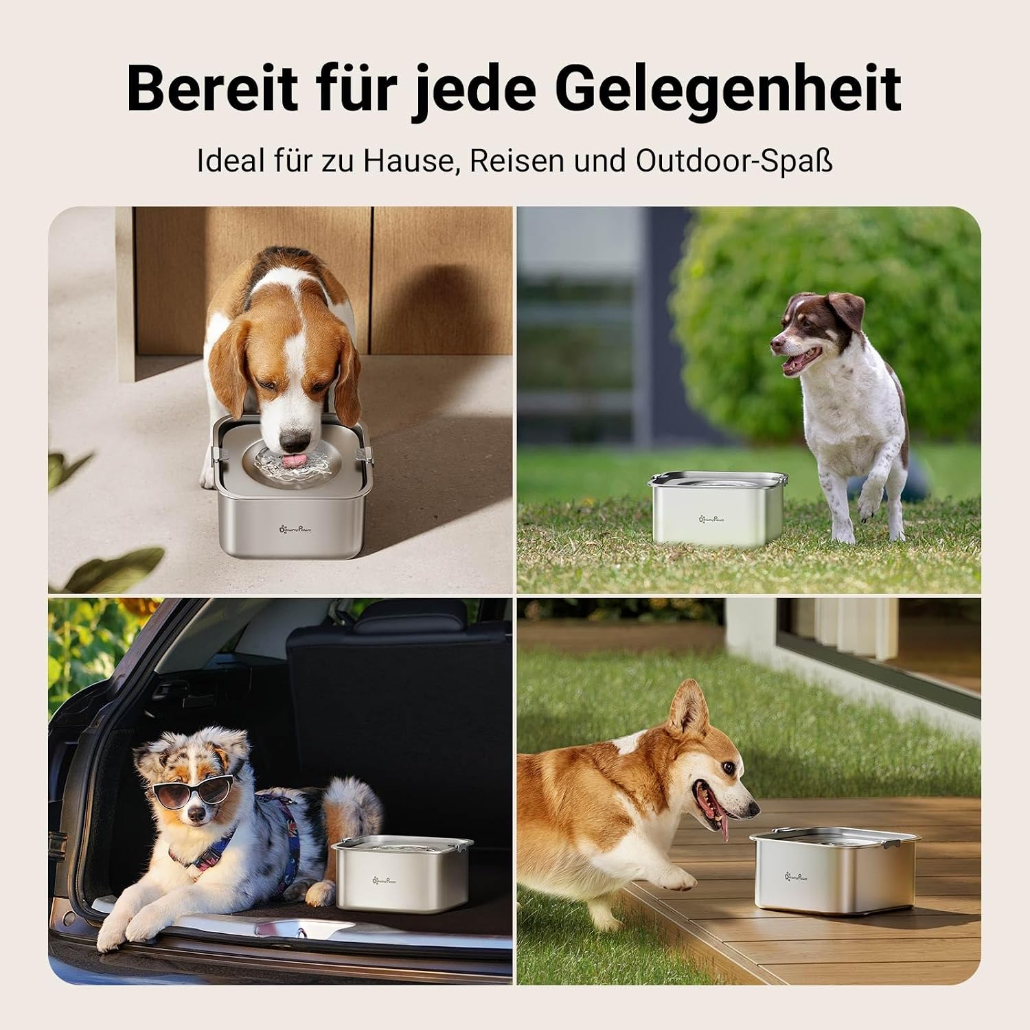 Thumbnail 6 de DownyPaws Wassernapf für Hund 3 l aus 304 Edelstahl