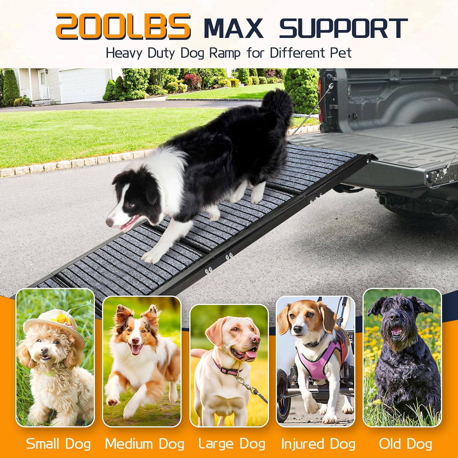 Thumbnail 4 de Extra Long 170cm Folding Dog Car Ramp 115kg