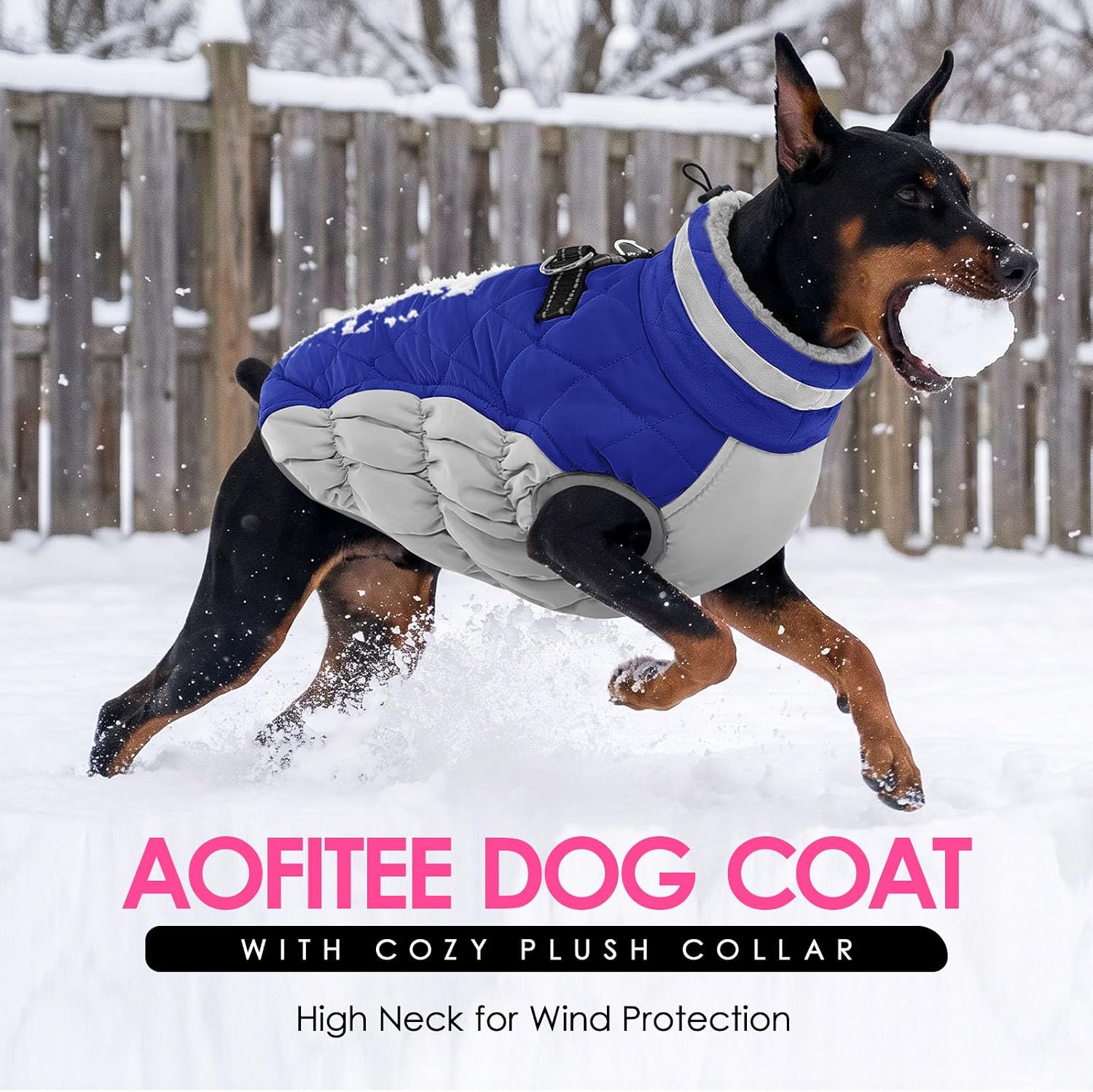 Detalle de AOFITEE 1207-AF-12180-Blue-S Dog Winter Coat, Blue Fleece Lining