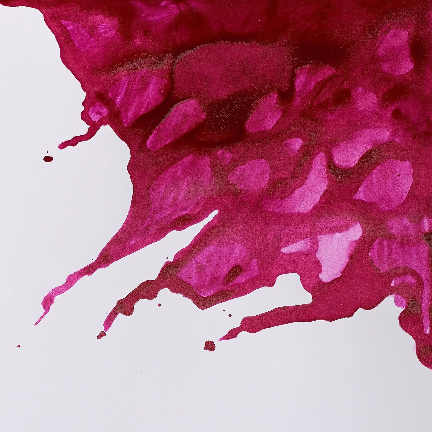 Detalle de Winsor & Newton Astuccio Intro William Collection: stile e funzionalità per chi ama la pittura