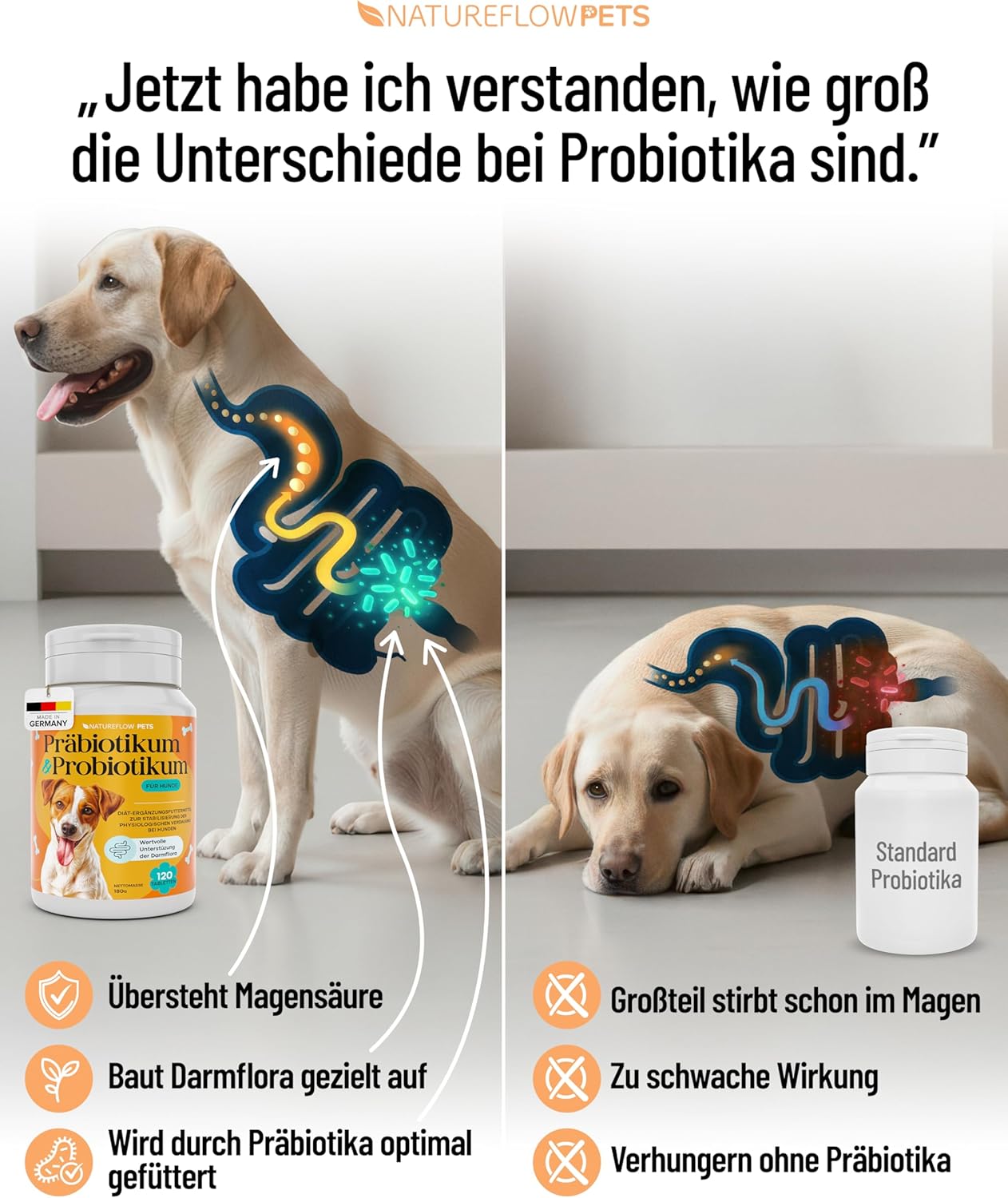 Detalle 2 de Natureflow Pets Probiotika Hund 670 Milliarden KBE