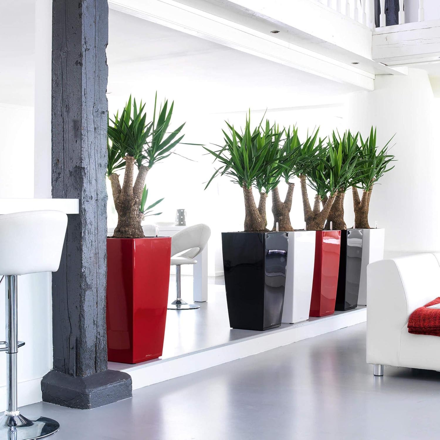 Thumbnail 3 de LECHUZA CUBICO Premium 40 anthrazit 75,5 cm