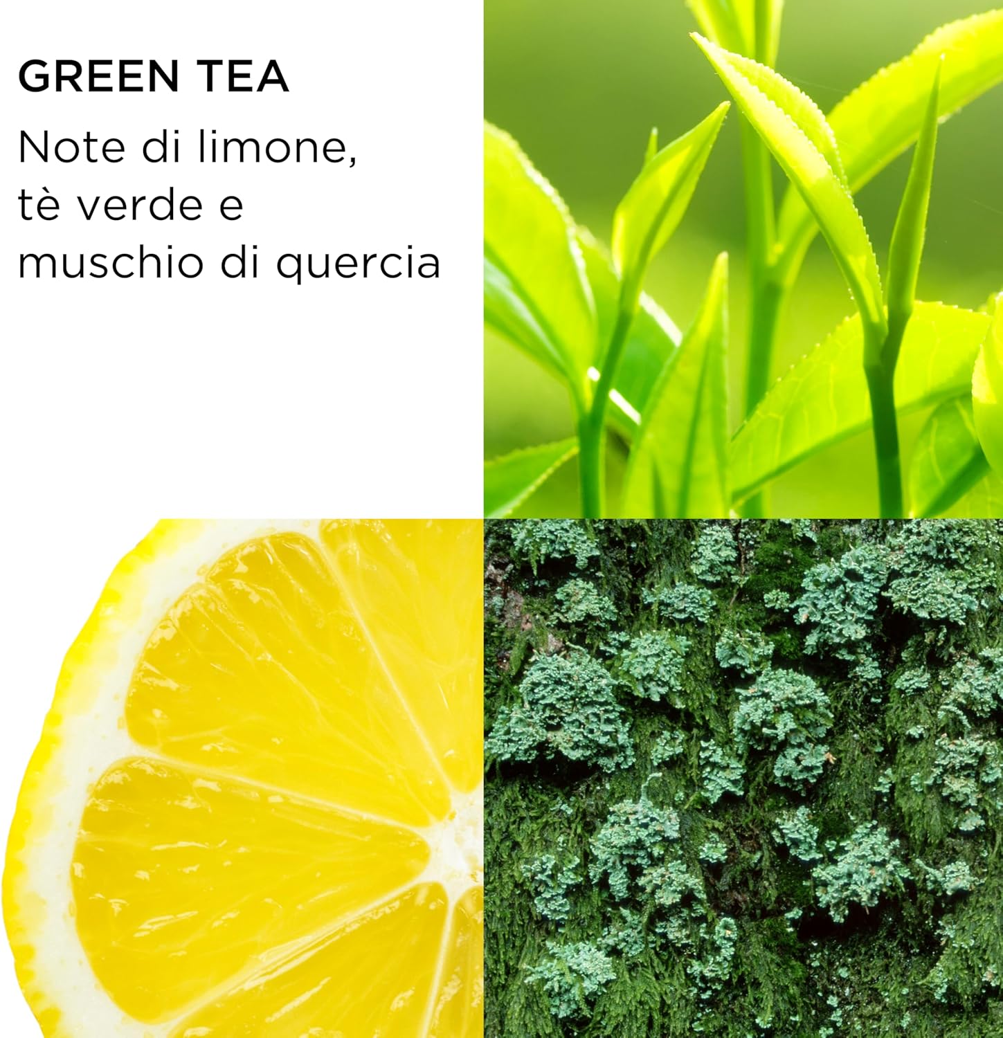 Thumbnail 1 de Elizabeth Arden Green Tea Lozione Corpo Rinfrescante alla crema con estratto di tè verde (200 ml)