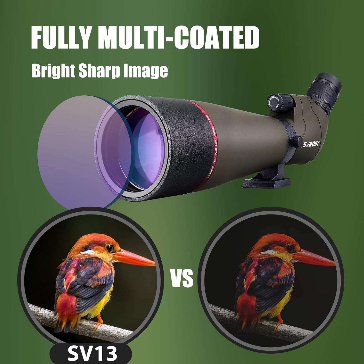 Detalle 2 de Svbony SV13 20-60x80 con treppiede da tavolo e adattatore per smartphone (IPX7) per birdwatching