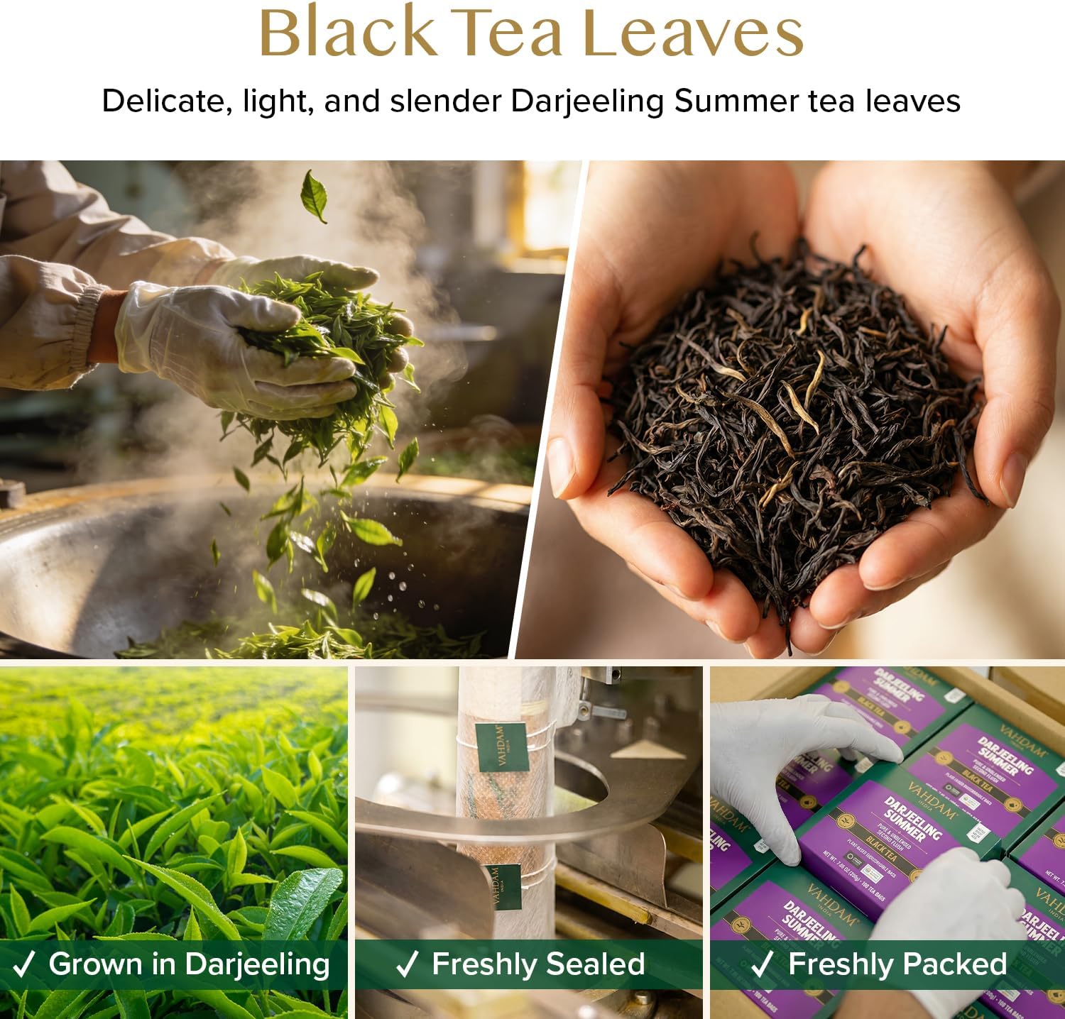 Thumbnail 1 de VAHDAM Thé Noir Darjeeling d'Été (100 sachets pyramidaux) – 100% pur, infusion chaude ou glacée