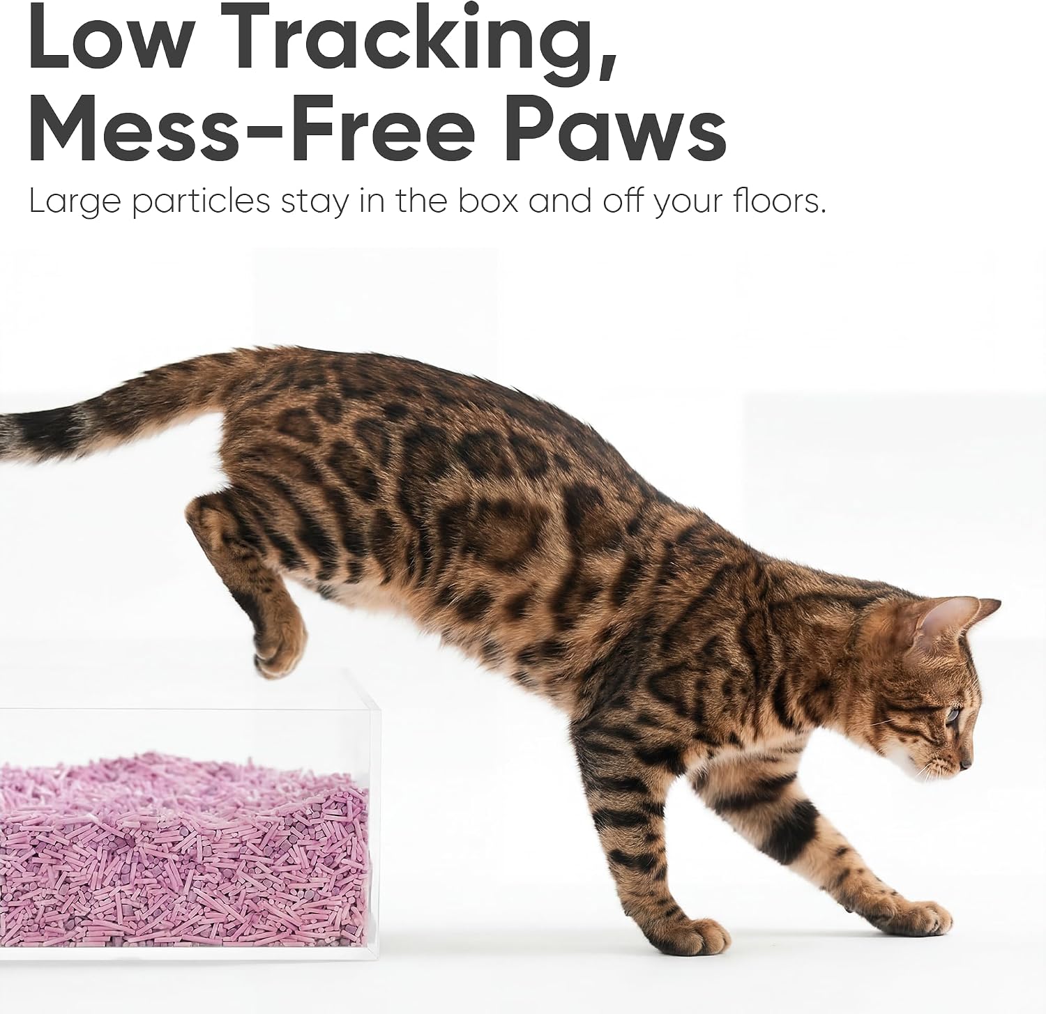 Detalle de FUKUMARU Tofu Cat Litter, 24lb (4 x 6lb Bags) with Lavender Scent – Firm Clumping, Low Dust, Flushable Plant-Based Pellets
