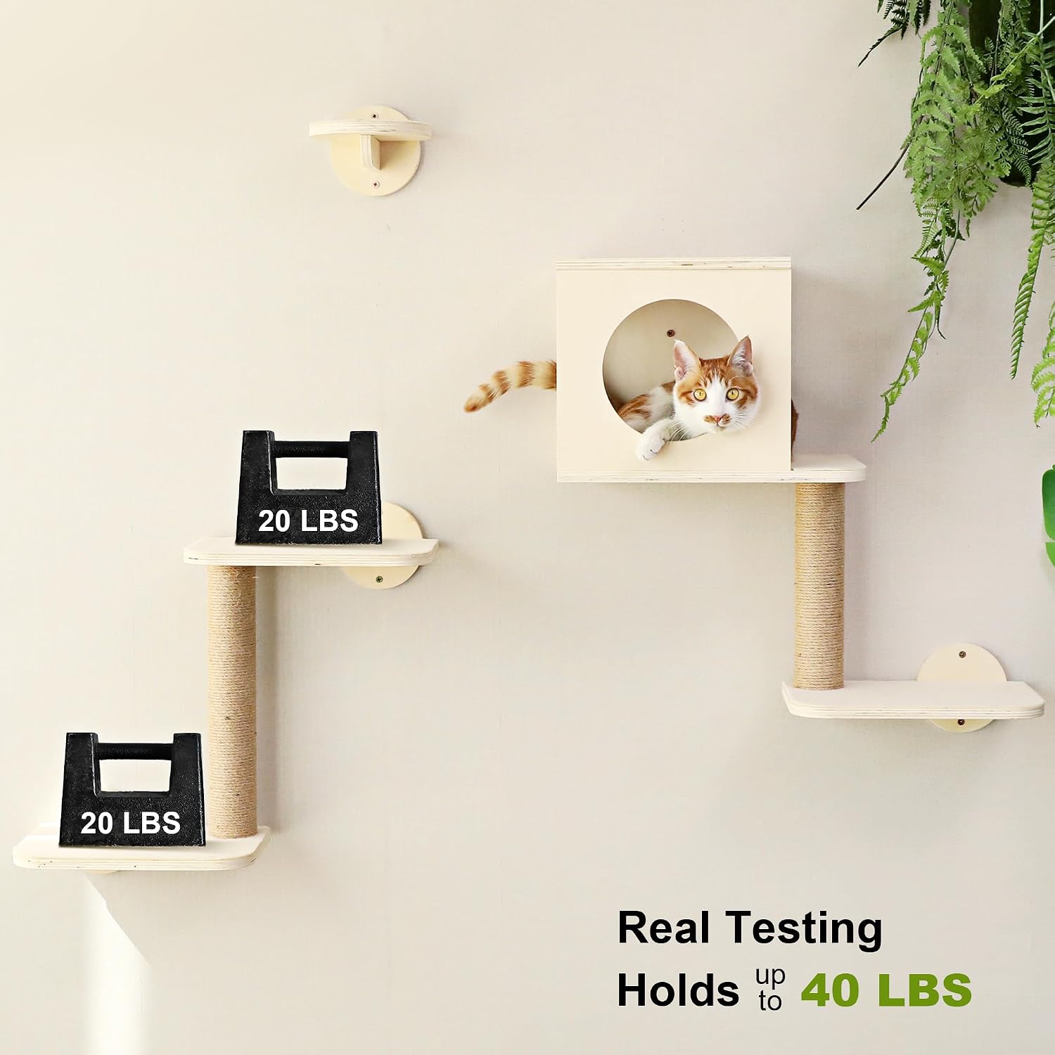 Thumbnail 5 de FUKUMARU Cat Wall Shelves 5-piece cat climber set 🐱