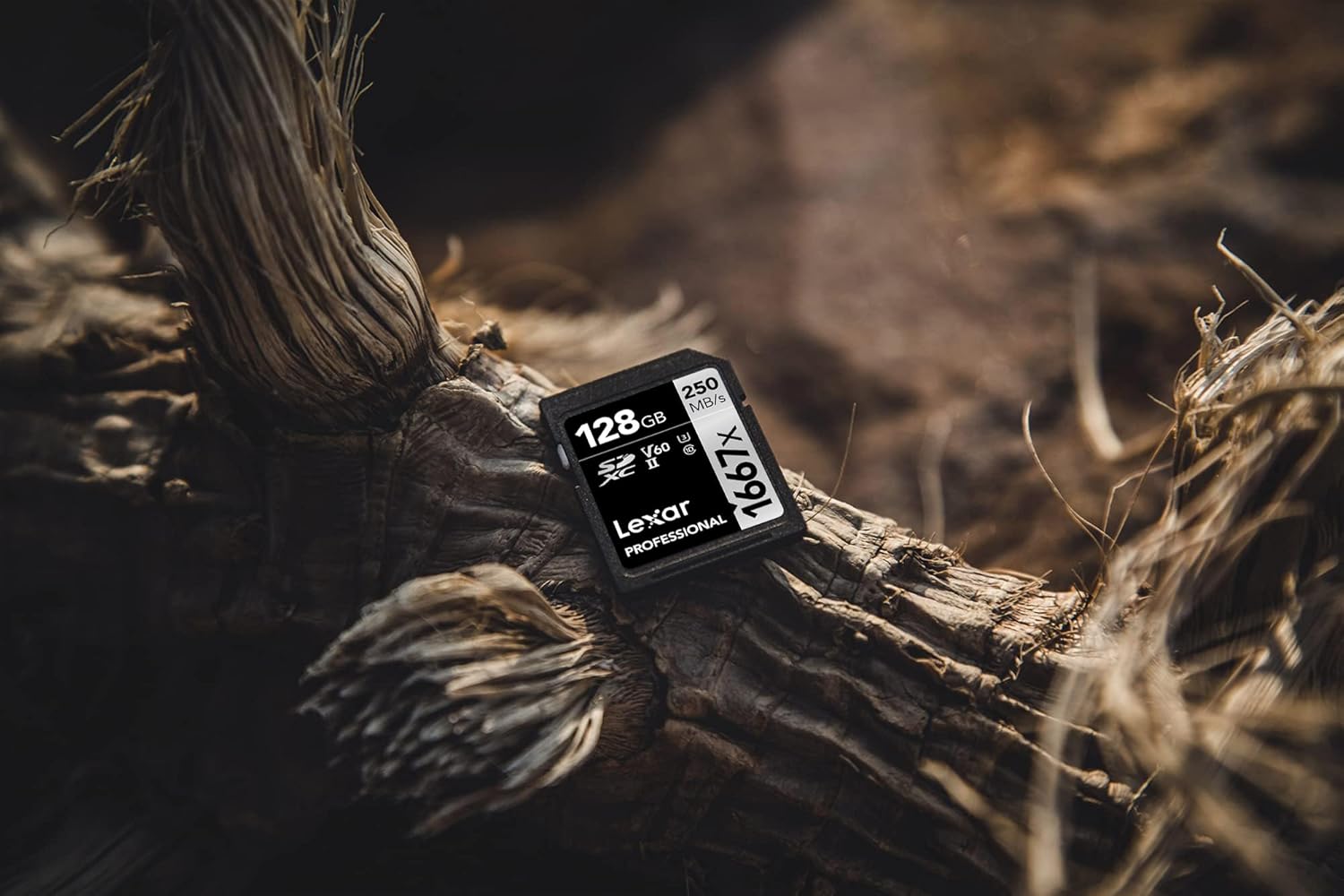 Detalle de Lexar Professional 1667x SDXC UHS-II 128GB 📸