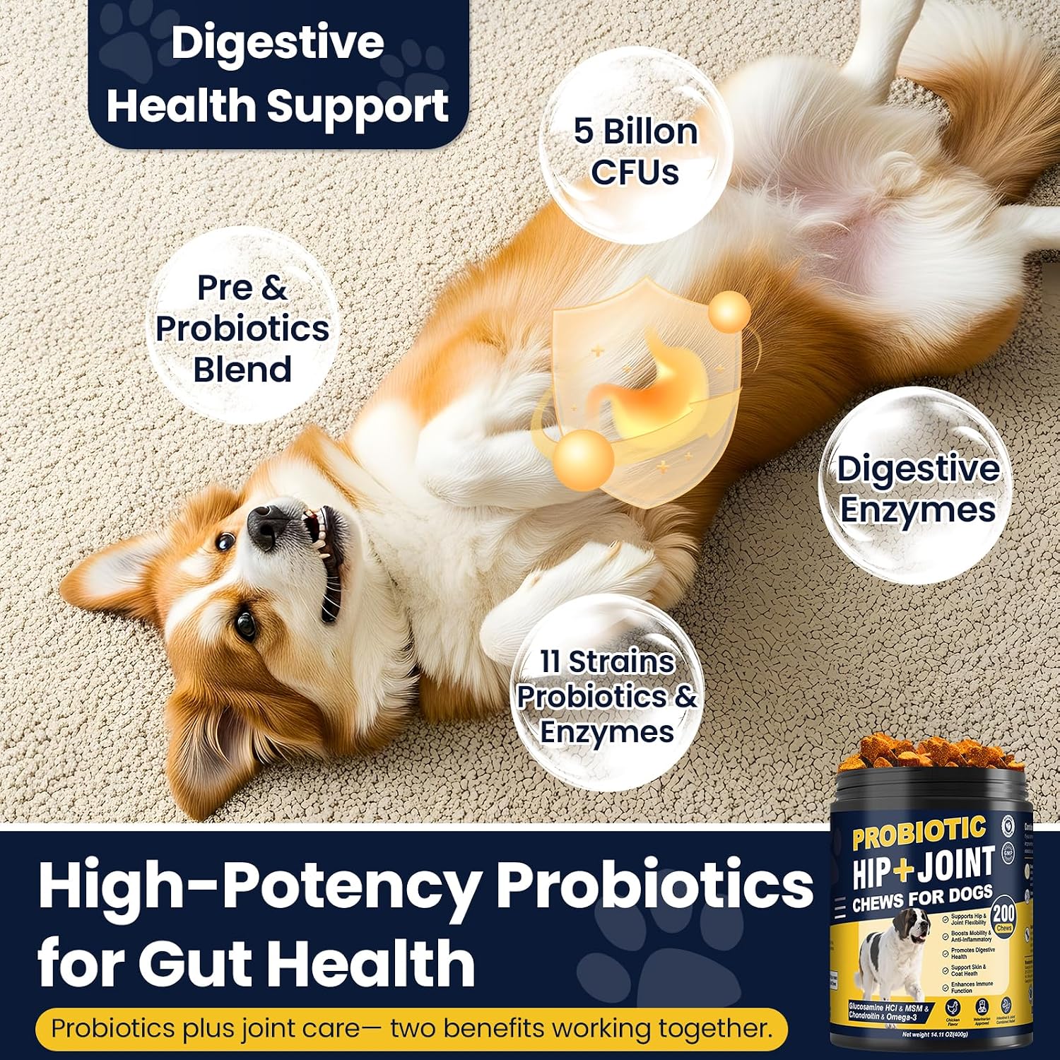 Thumbnail 3 de Dog Joint Supplement with Probiotics