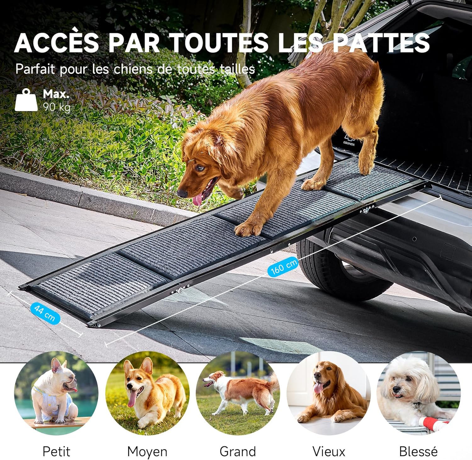 Detalle de CO-Z Rampe pour Chien 160×44 cm – Rampe d’accès voiture pliable, capacité 90 kg