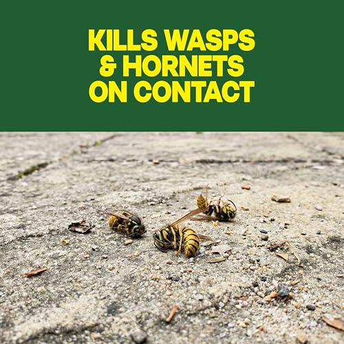 Detalle de Raid Wasp & Hornet Killer Spray — 2-Pack, 14 oz Each (Kills Entire Nest)