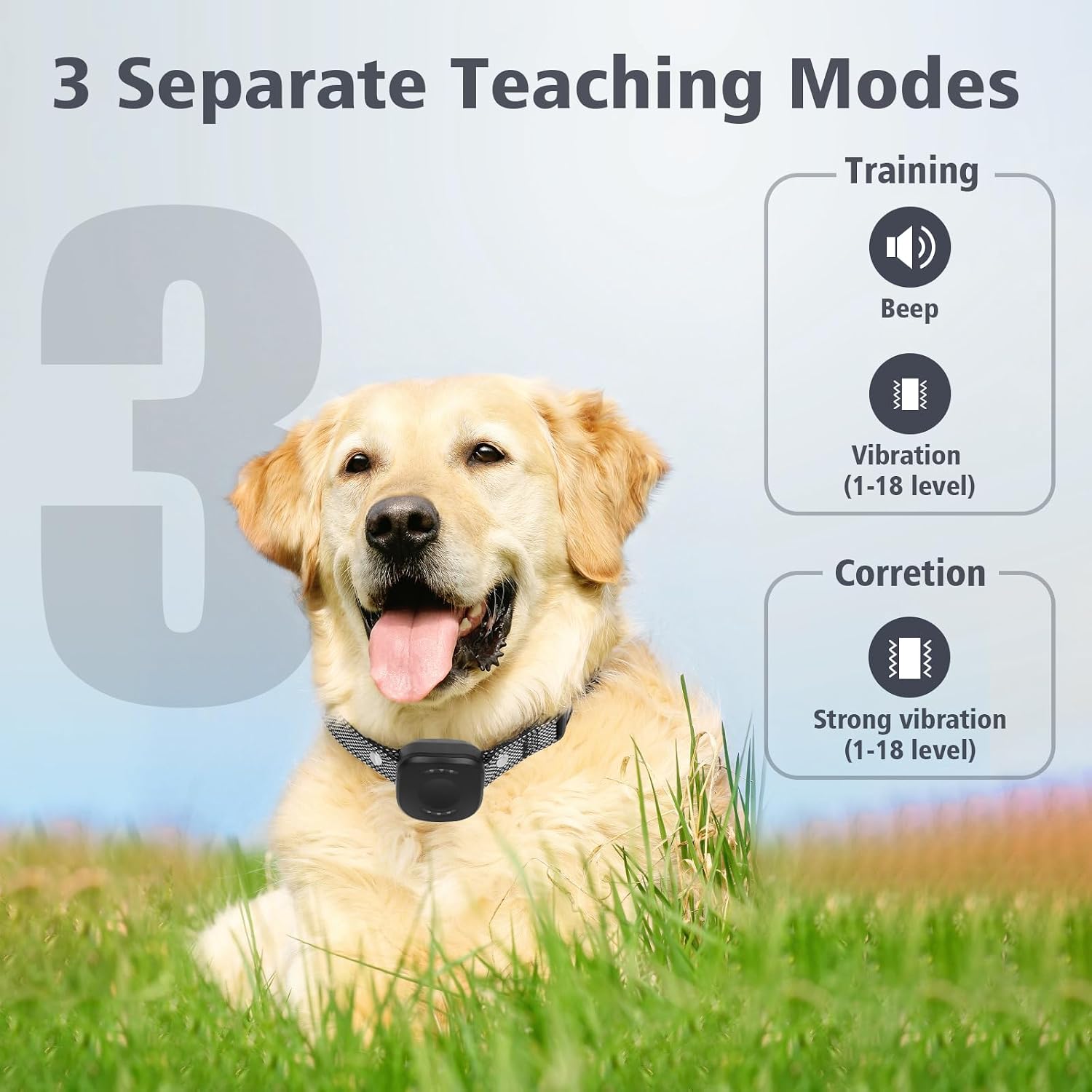 Detalle de Dog Training Collar 300M Range
