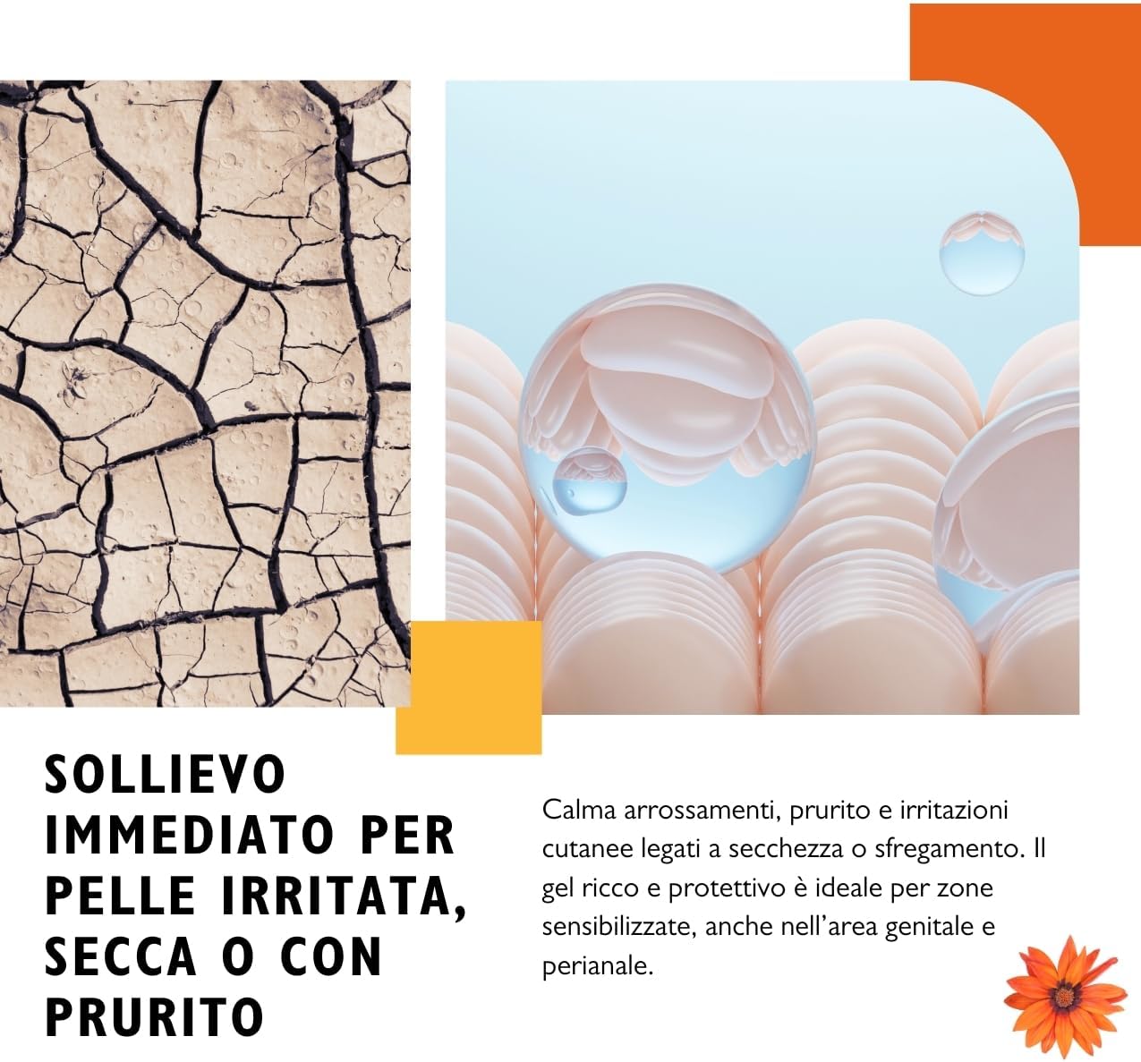 Thumbnail 3 de Bioderm E Complex Gel Lipoico: nutrimento profondo e barriera protettiva per pelli secca e sensibili 50 ml