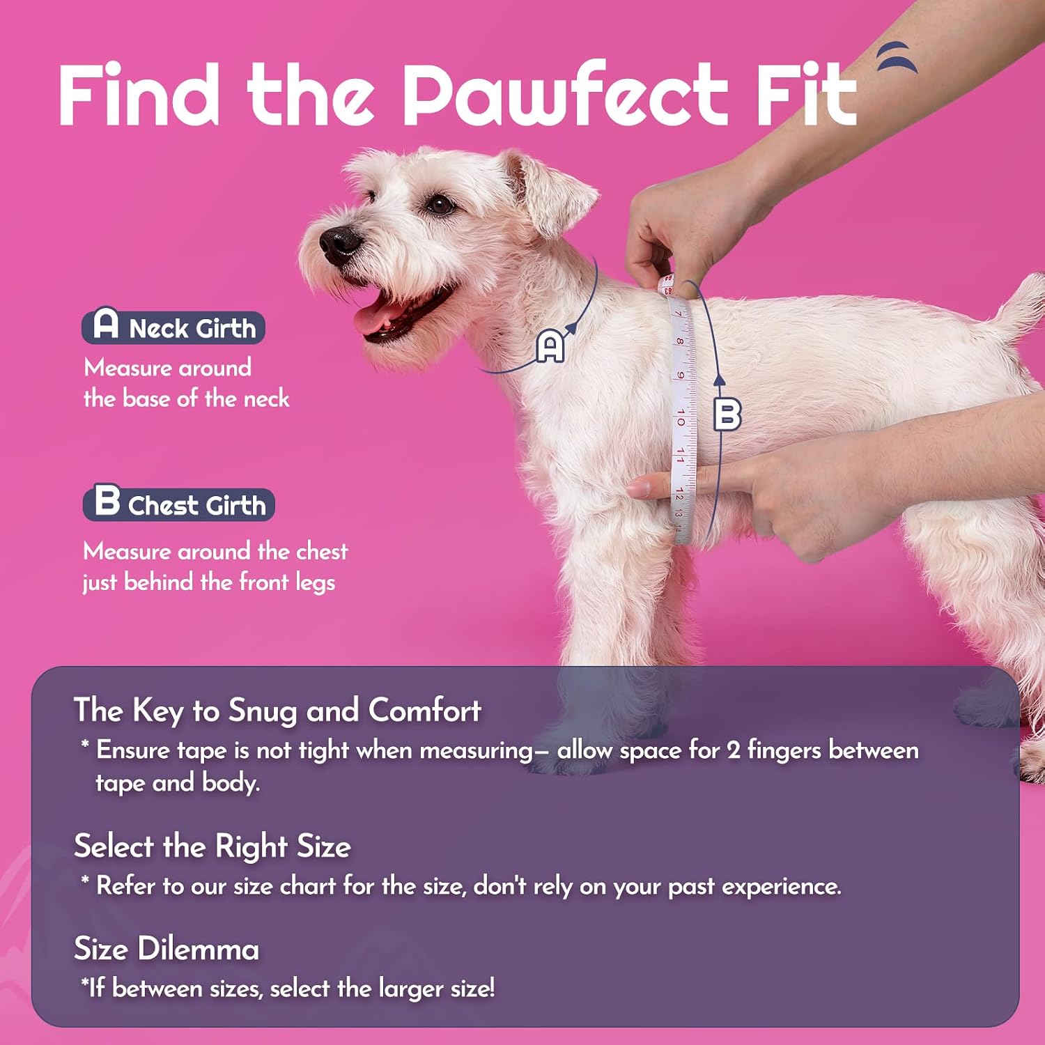 Detalle 2 de Eagloo Small Dog Harness XXS