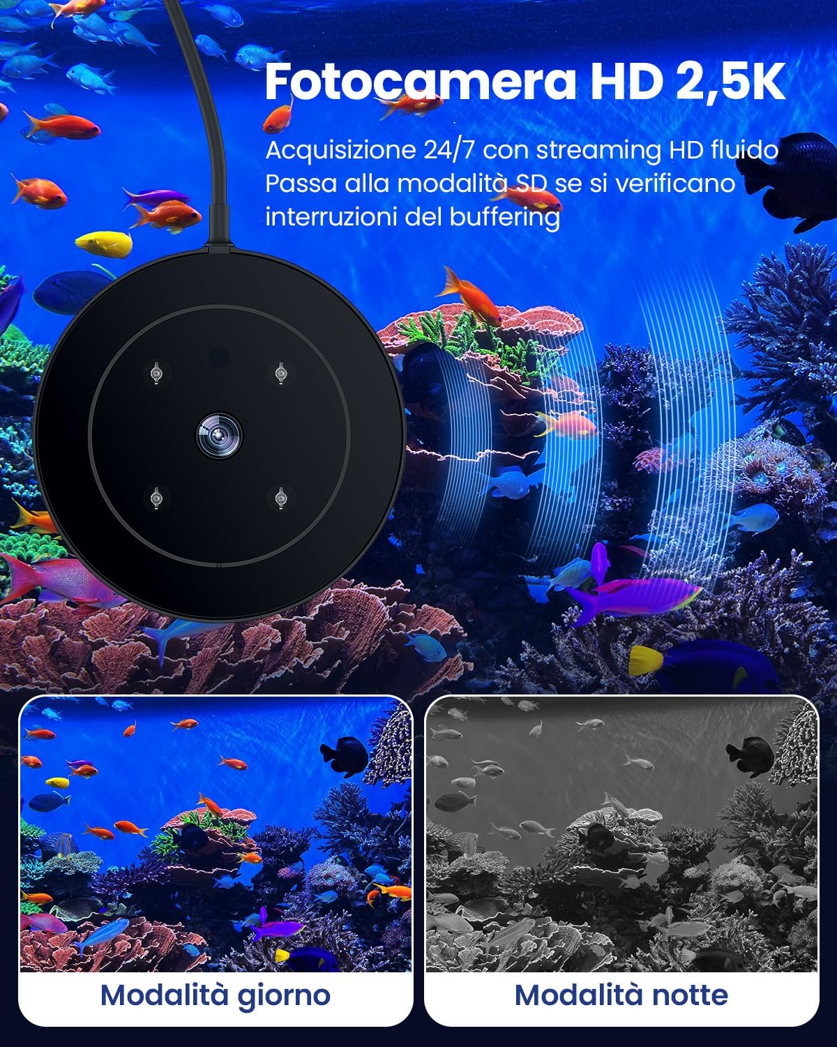 Thumbnail 6 de WOLMDS Mangiatoia Automatica Acquario 230 ml