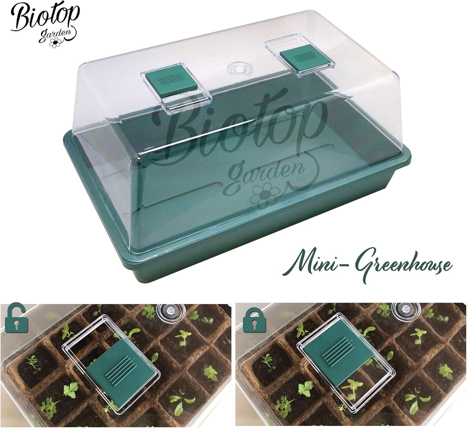 Detalle 2 de Boîte à germer Biotop B2015B vert 38 cm