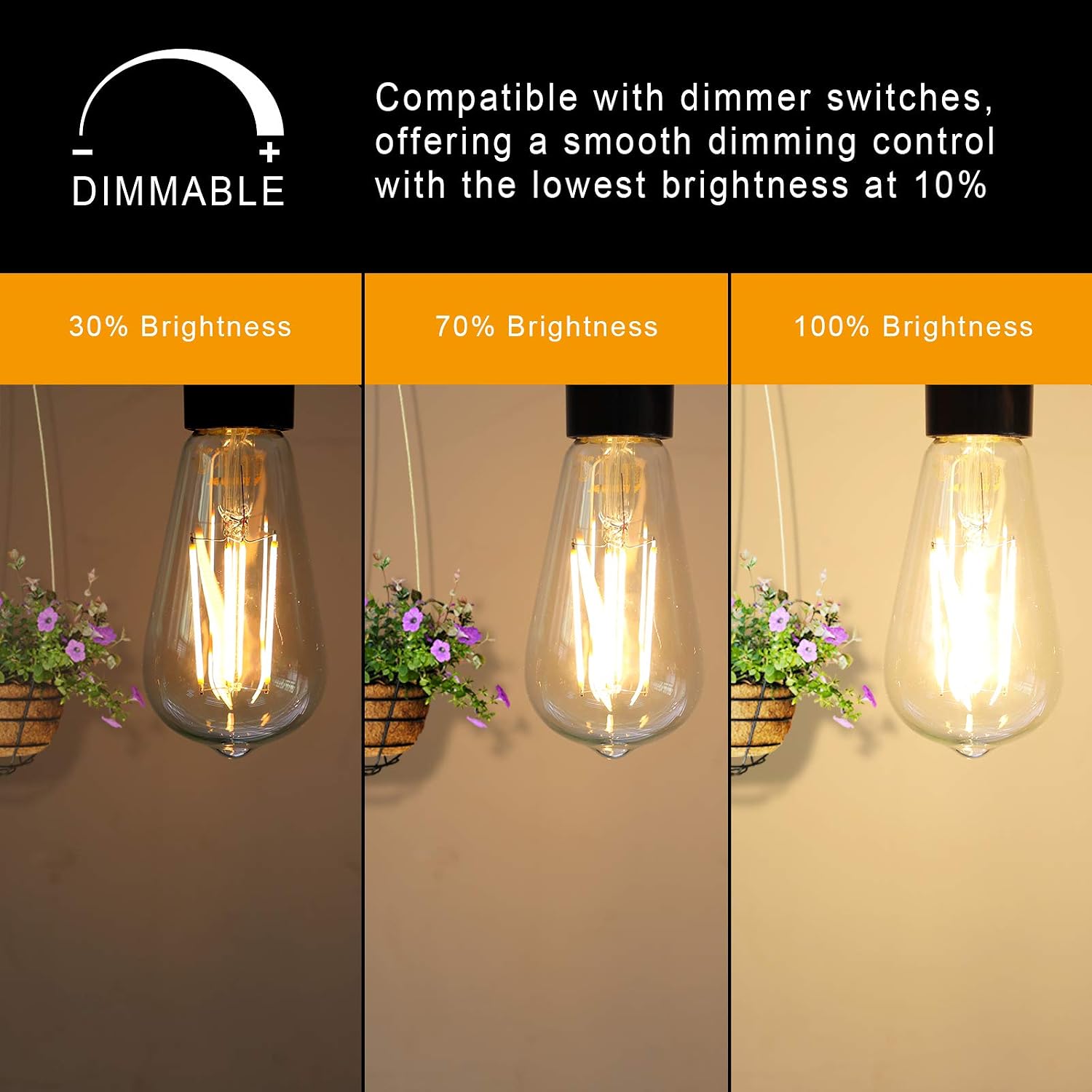 Detalle de Ascher 6xst58dim2700k ST58 Vintage LED Edison Bulbs, Dimmable, 6W, E26