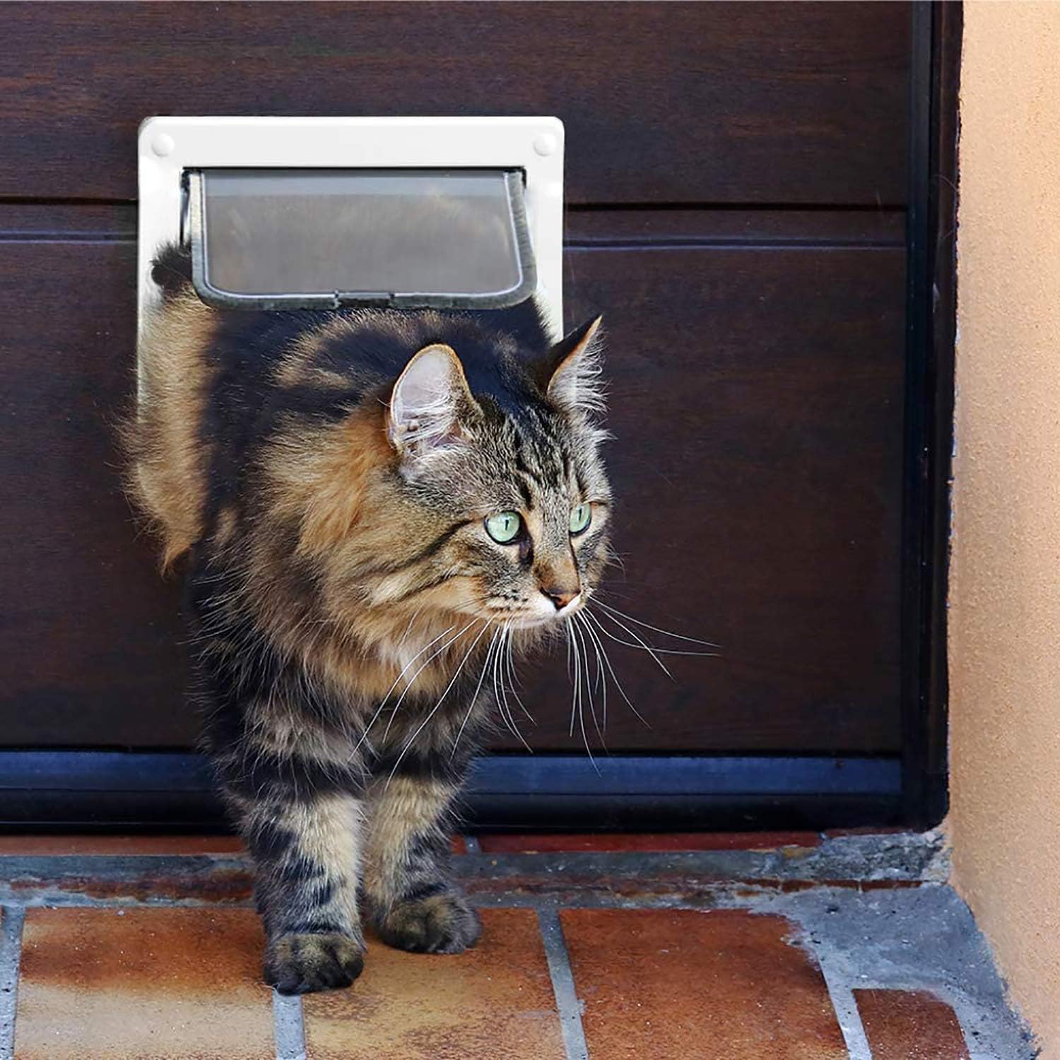Thumbnail 6 de PetsN'all Indoor Cat Door 4-Way Locking 15 lb