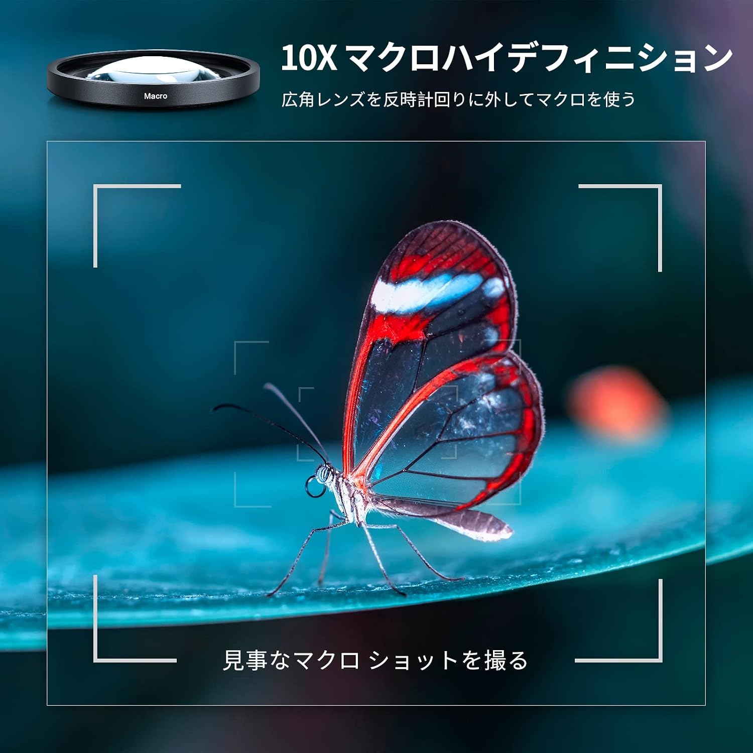 Detalle 2 de NEEWER 2in1 ZV1用レンズ 18mm広角・10倍マクロ対応