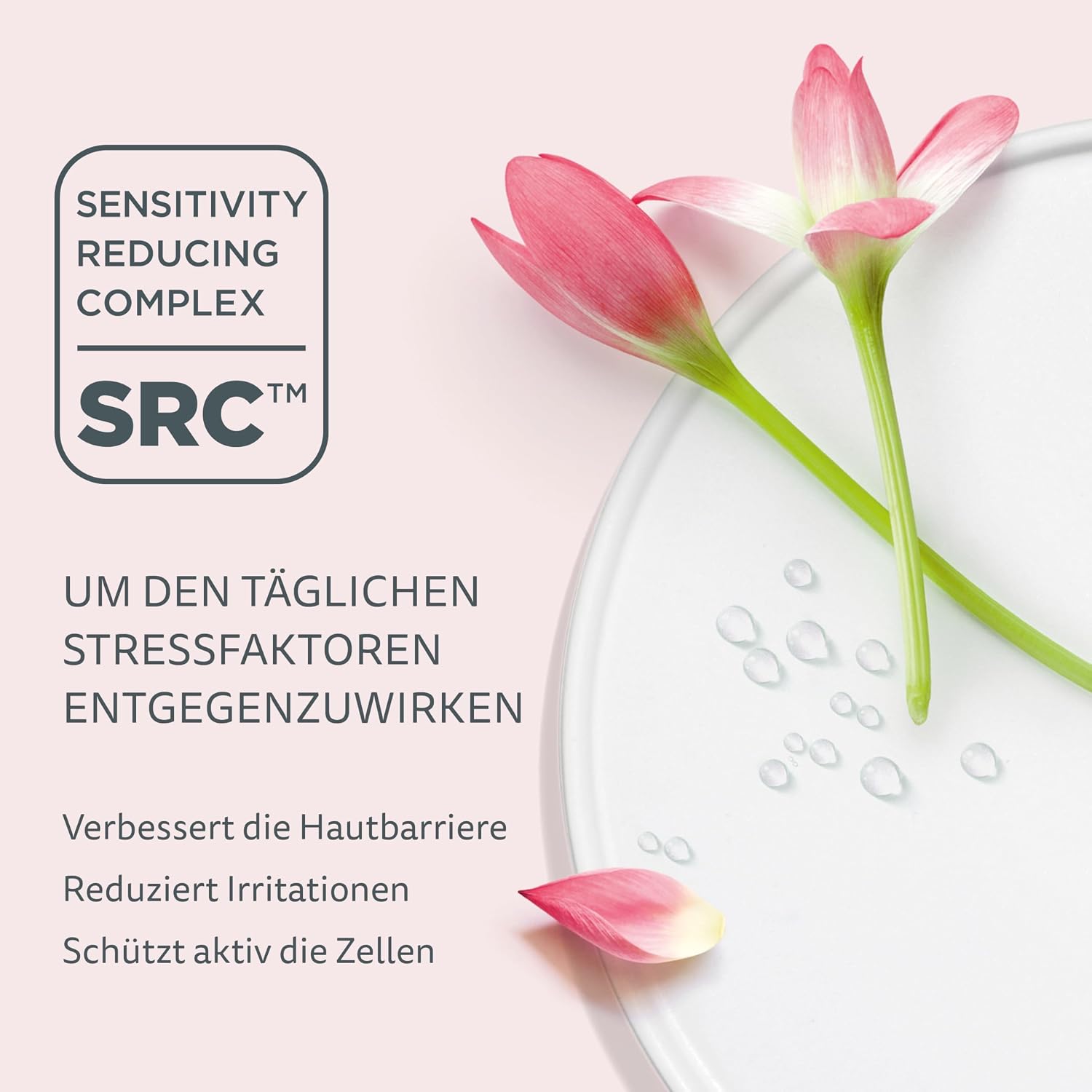 Detalle de Declaré Ocean’s Best Hyaluron Triple Booster 50 ml – 3-fach Hyaluronsäure mit Seetang-Extrakt