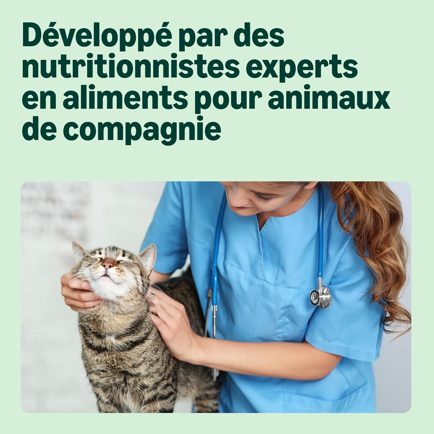 Detalle 2 de By Amazon Nourriture complète sans céréales pour Chats Adultes – Sélection Viande en gelée, 4,8 kg