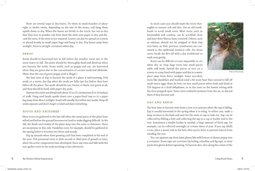 Detalle 1 de The Modern Herbal Dispensatory: A Medicine-Making Guide – geïllustreerd boek, 376 pagina’s