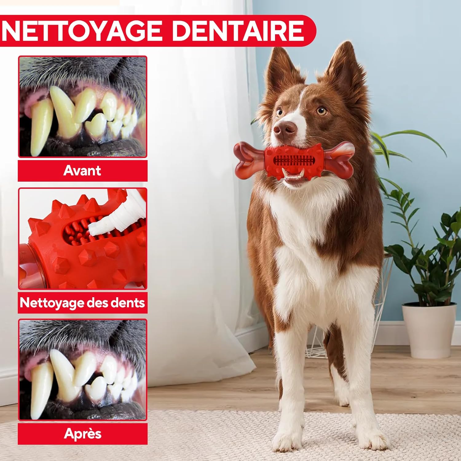 Thumbnail 3 de LIFLIX jouets à mâcher indestructibles en nylon et caoutchouc (forme d’os) pour chiens