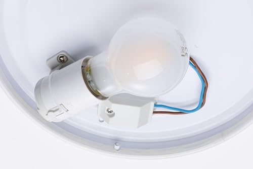 Detalle 2 de Paulmann 78898 HomeSpa Axin lámpara techo 18 W