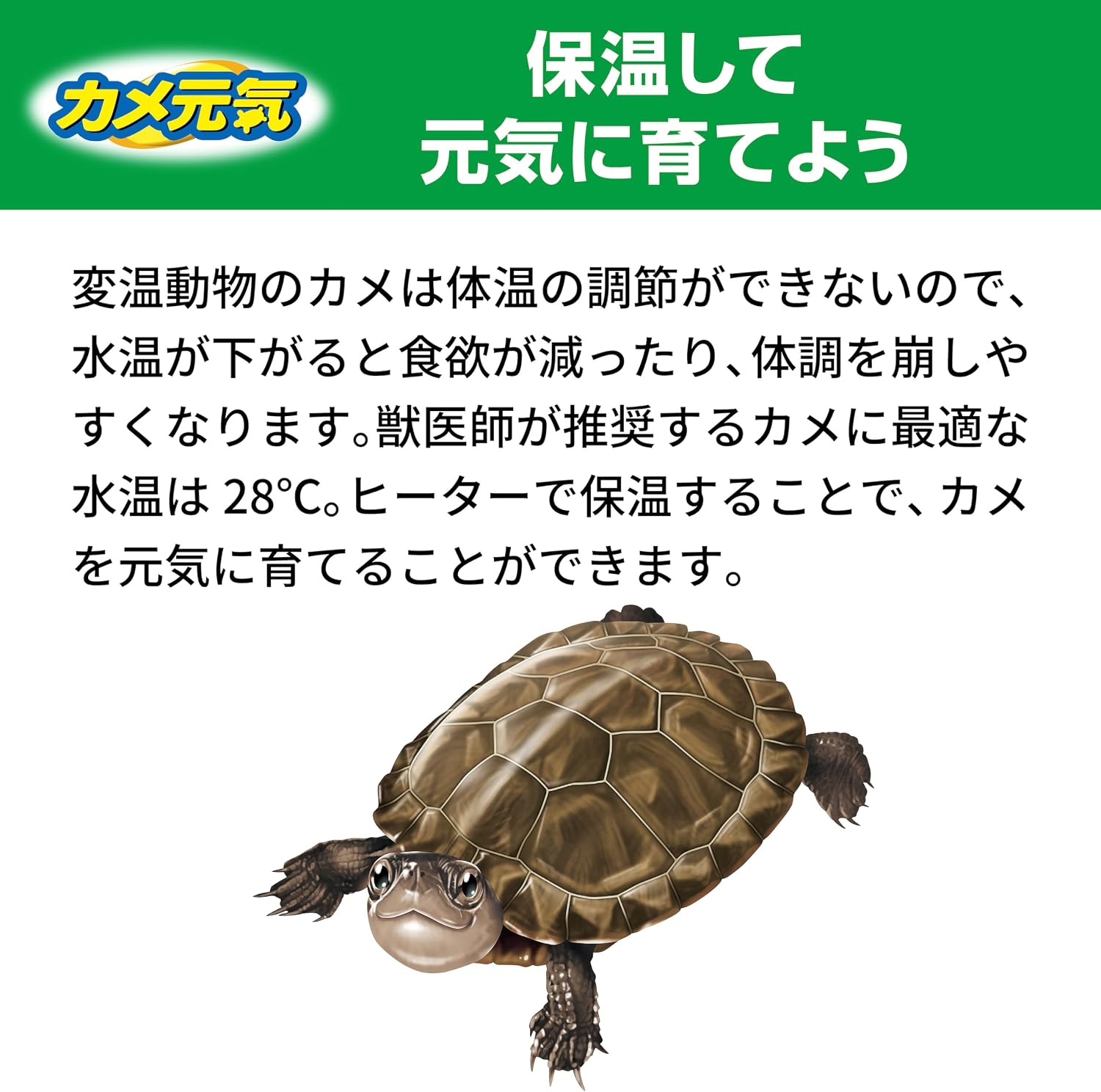 Thumbnail 6 de ジェックス カメ元気 オートヒーター SH55 18L以下・28℃固定・通電ランプ付き