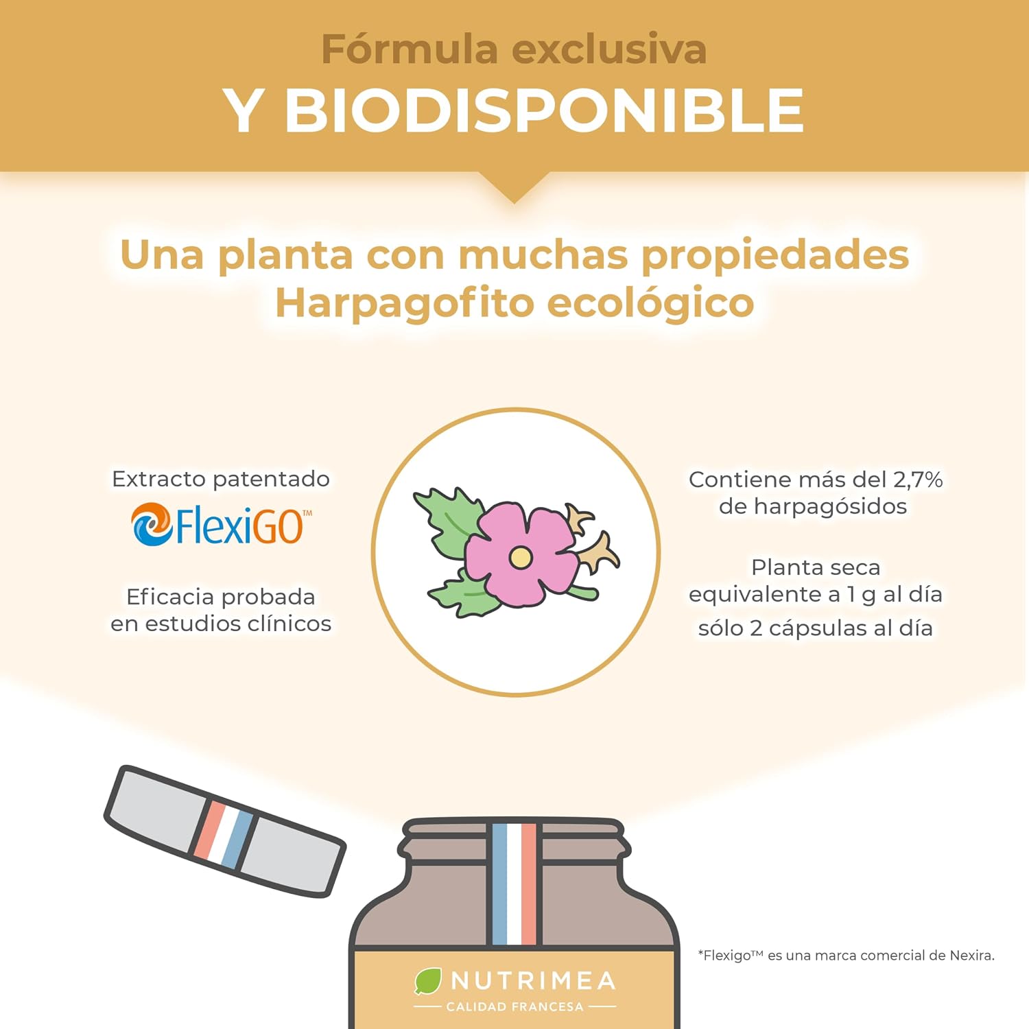 Detalle 2 de Nutrimea HARPAGOFITO BIO 1200 mg 60 cápsulas