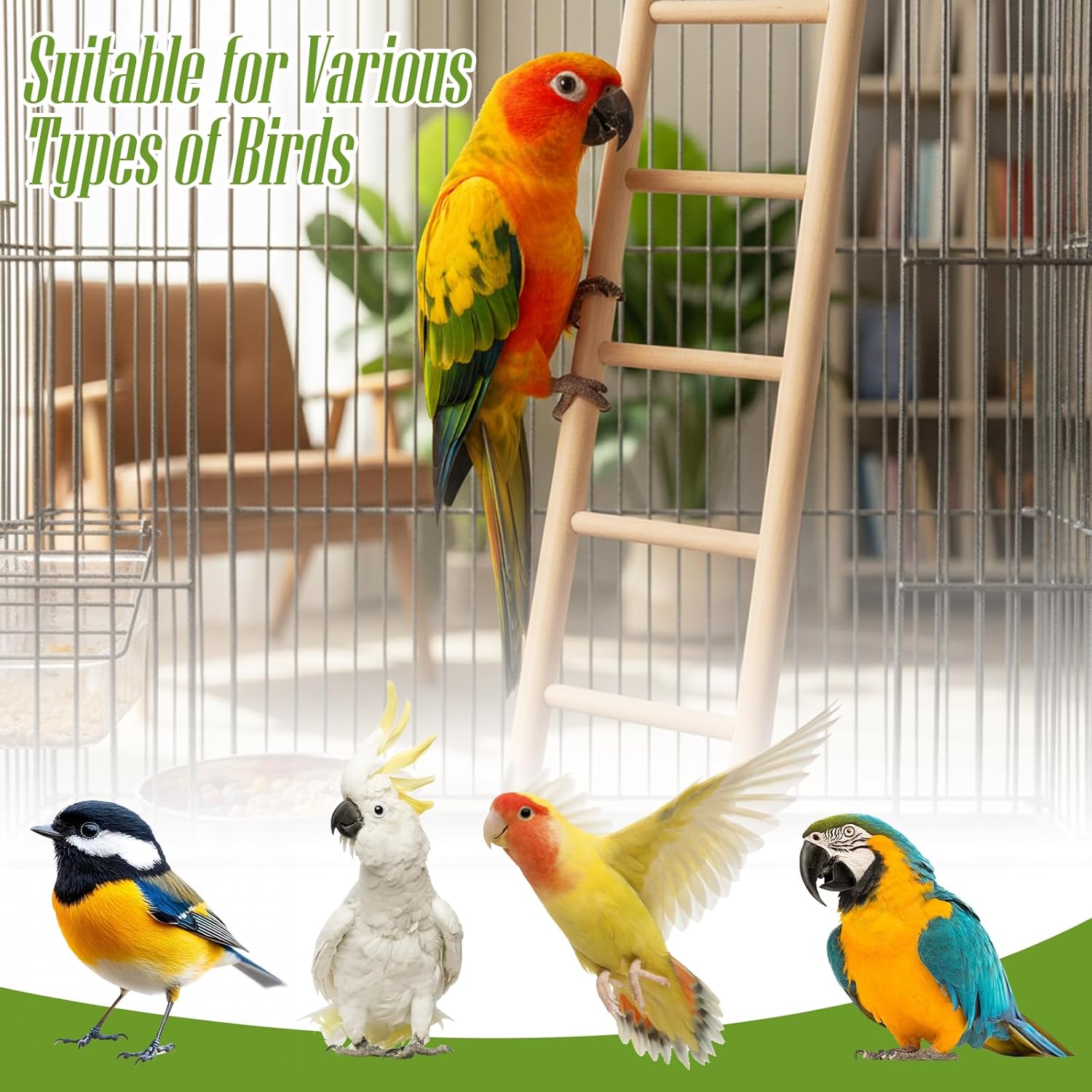 Detalle de 4 Pack Bird Cage Ladder with Hanging Wooden Design – 3–6 Step Climbers for Parakeets, Parrots & More