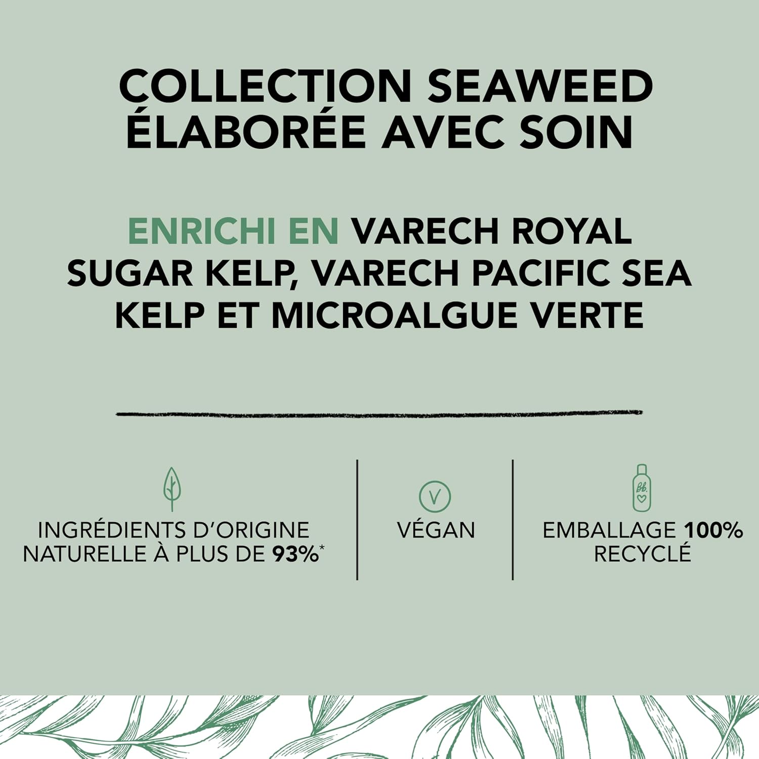 Detalle de Seaweed Shampooing hydratant de Bumble and bumble. Pour cheveux fins à moyens, 250 ml