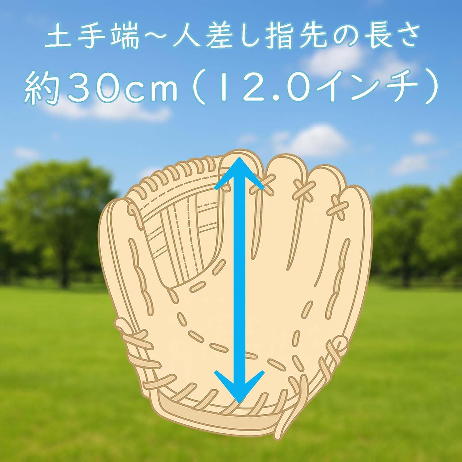 Thumbnail 6 de ゼット BDG3516VA キャッチボール用グローブ 12インチ 衝撃吸収パッド付き