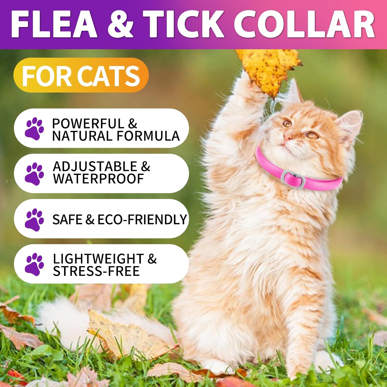 Thumbnail 1 de Collare antiparassitario per gatti 4 pezzi – impermeabile, regolabile 48 cm, 6 mesi di efficacia