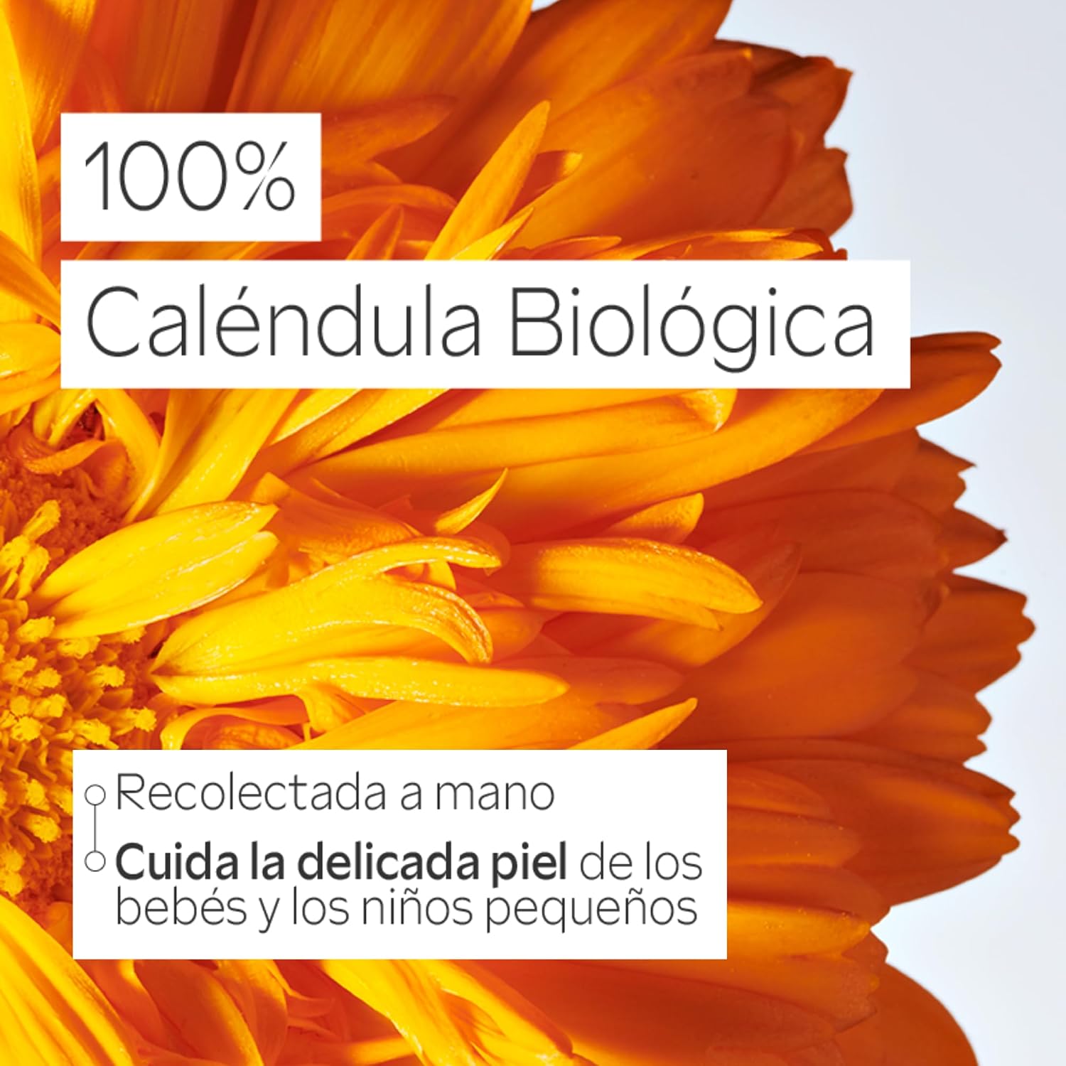 Thumbnail 6 de Weleda - Crema Pañal de Caléndula 🌼 Cuida el Piel del Bebé