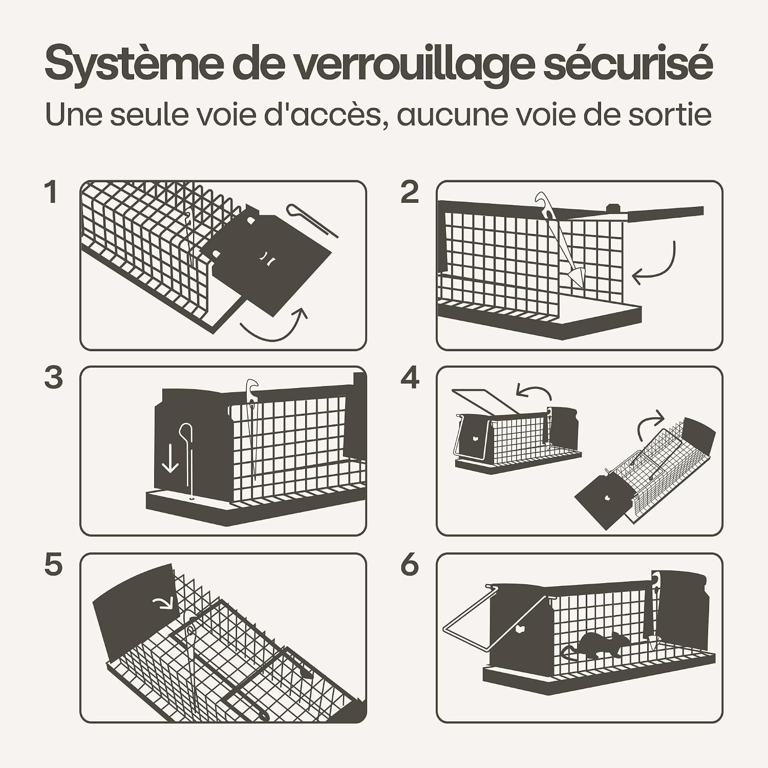 Thumbnail 5 de Praknu Cage piège à rat vivant 30 cm