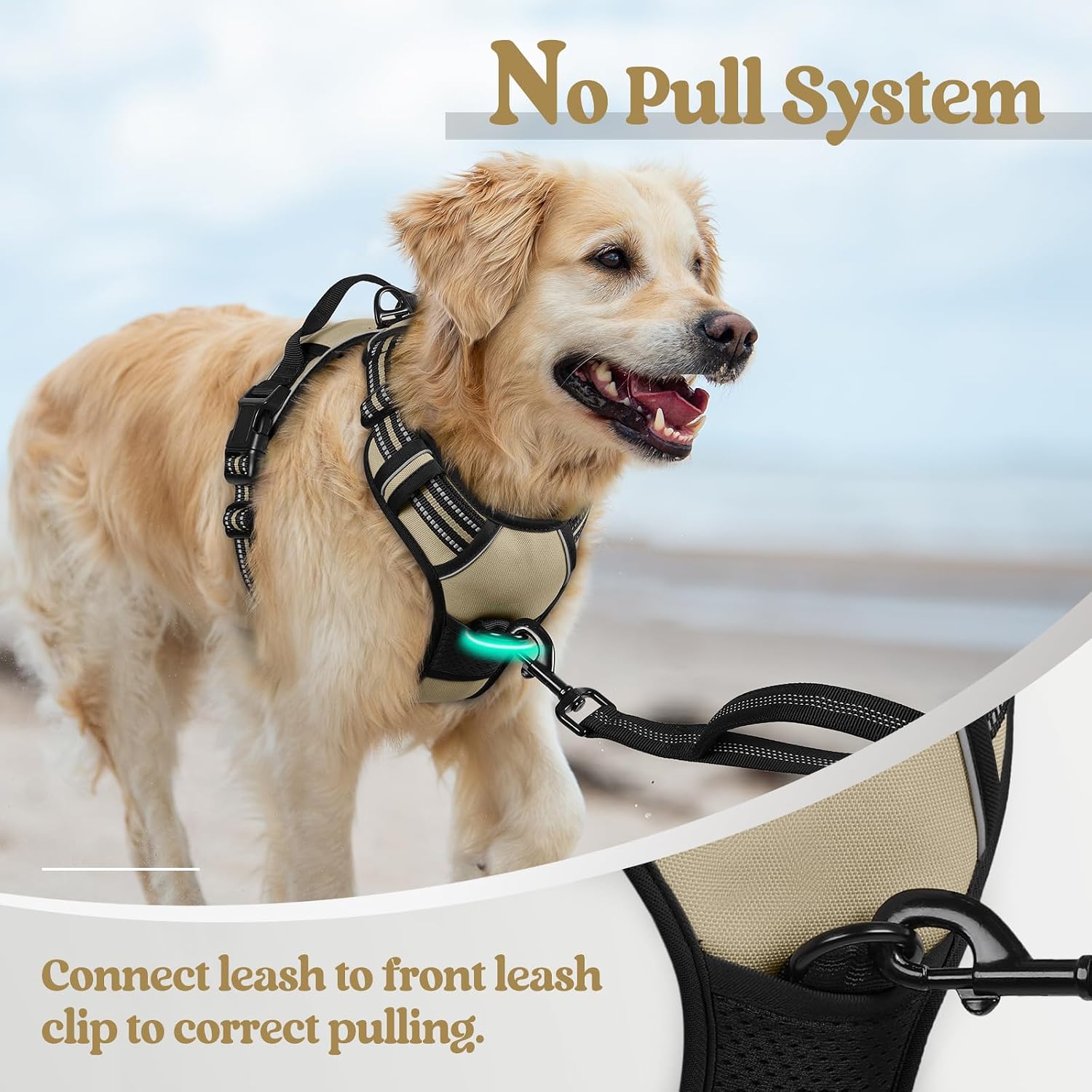 Detalle 2 de Rabbitgoo Medium No Pull Dog Harness with Dual Leash Clips and Easy Control Handle