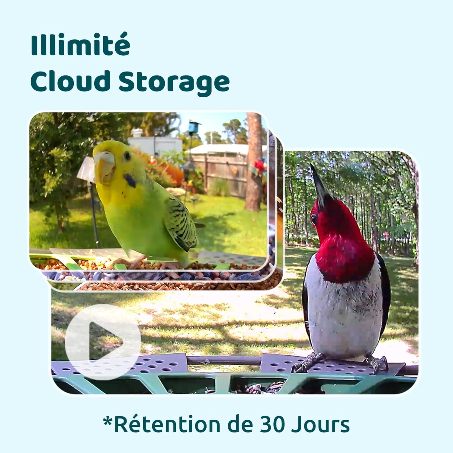 Thumbnail 5 de Birdfy 2 Pro Mangeoire pour oiseaux — double caméra 2K avec IA et vision nocturne couleur
