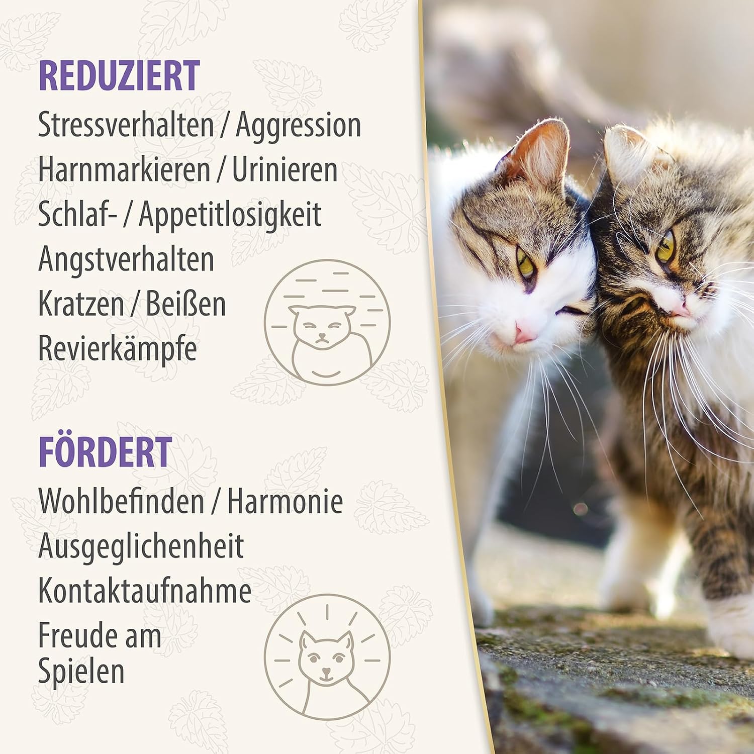 Thumbnail 6 de Felisept Family Comfort Nachfüllpack 45 ml – Beruhigung mit Katzenminze für Mehrkatzenhaushalte