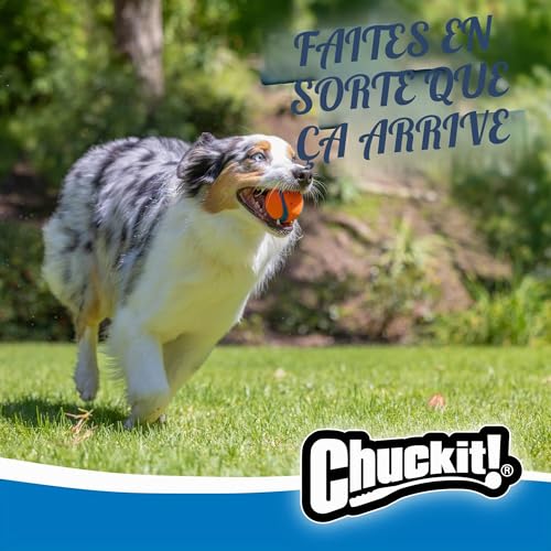 Thumbnail 2 de Chuckit! Ultra Balls Taille Moyenne – Lot de 2 pour tous les chiens