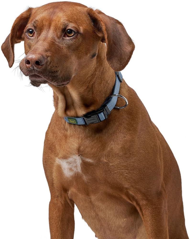 Detalle de HUNTER VARIO PLUS Hundehalsband – robustes Nylonhalsband mit Zugentlastung, Klickverschluss, Größe M‑L/2,5, schwarz